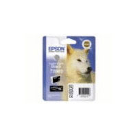 Epson Singlepack Light Light Black T096940 (C13T09694020)